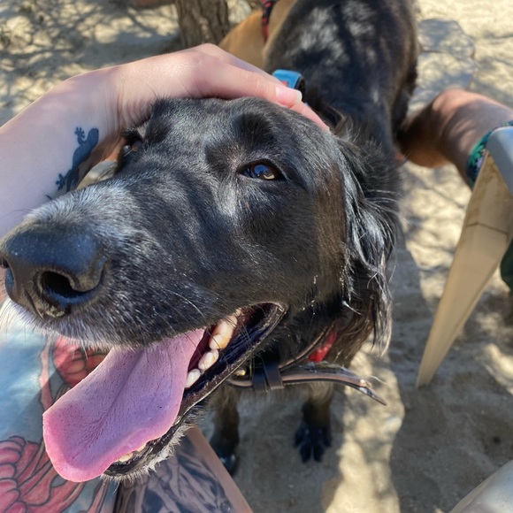 George & Luke 🖤💛 - Picture 5 of 8